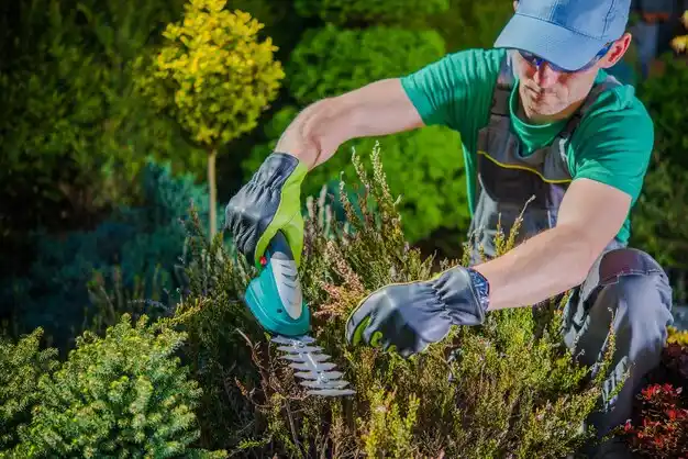landscaping services Paxton